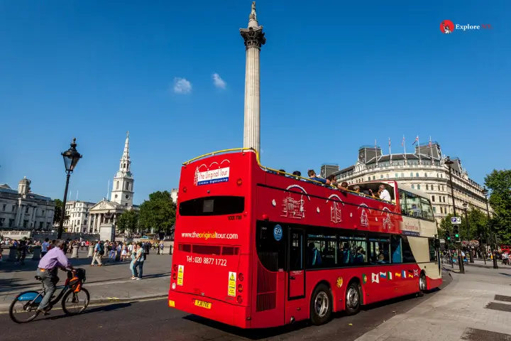 Hop-on Hop-off Bus Tour Thrills