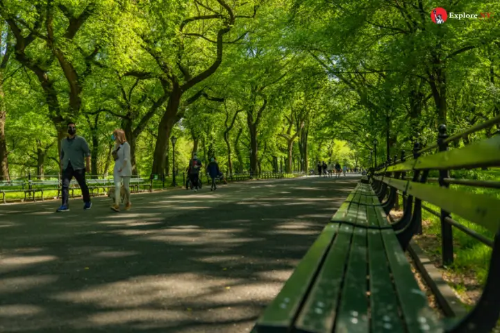 A Walk Through Central Park