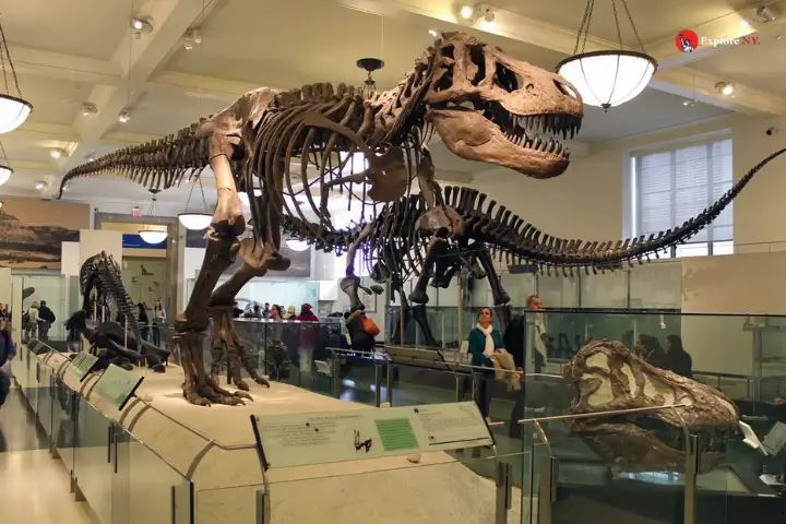 American Museum of Natural History