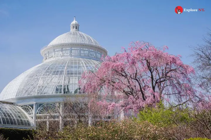 New York Botanical Garden