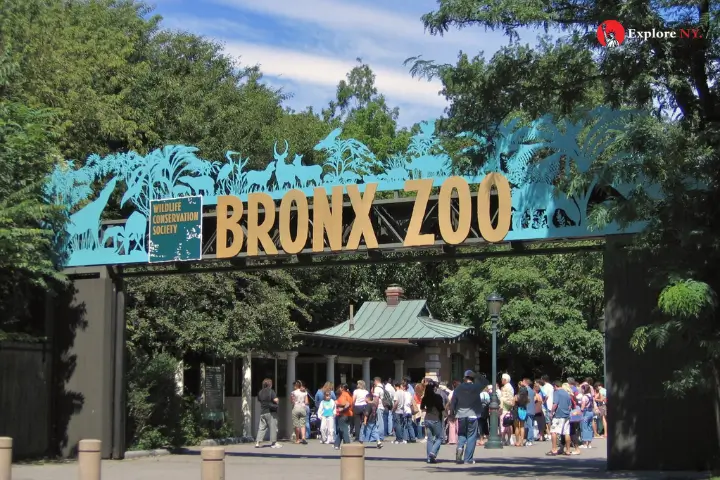 The Bronx Zoo