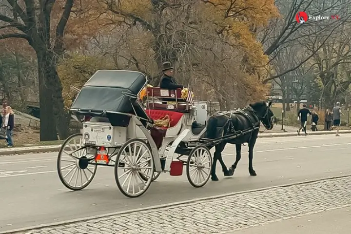 Carriage Ride Through Central Park