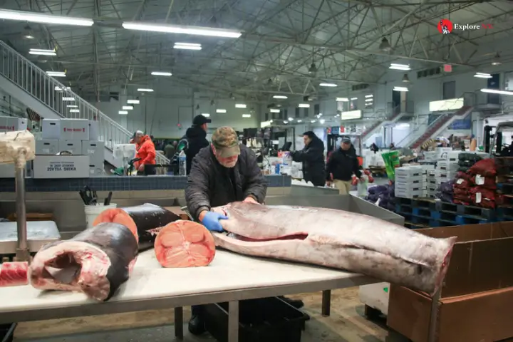 The New Fulton Fish Market