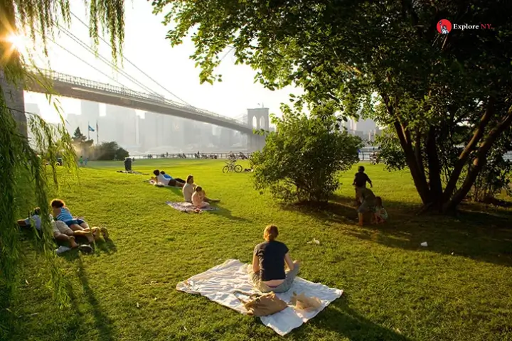 Picnic At Tryon Park