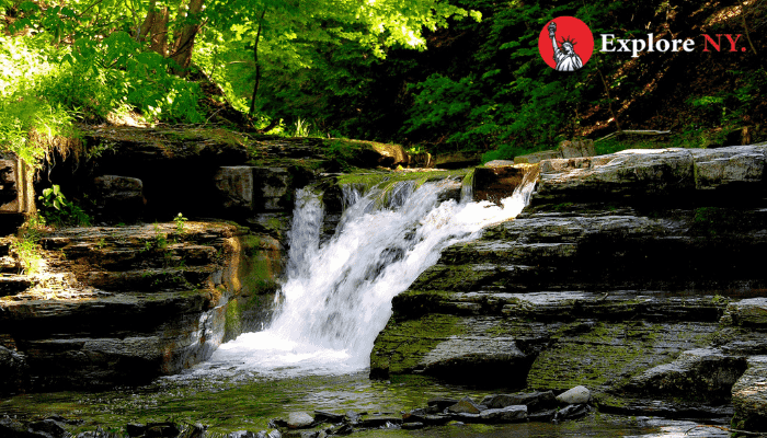 Stony Brook State Park waterfalls 