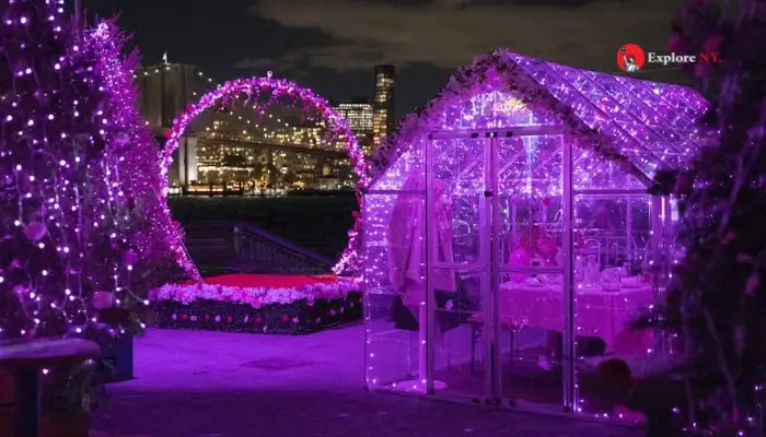 Pink Paradise at Pier 15