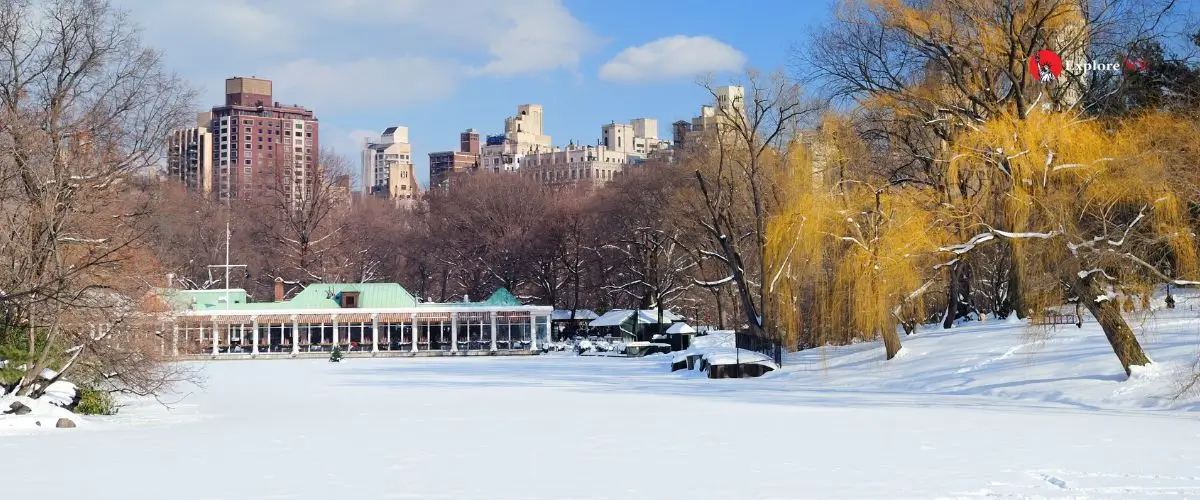 Things to Do in NYC in December