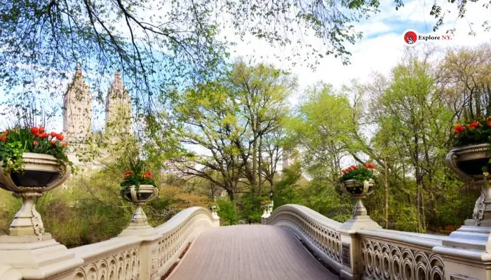 Central Park Is a Popular Filming Location