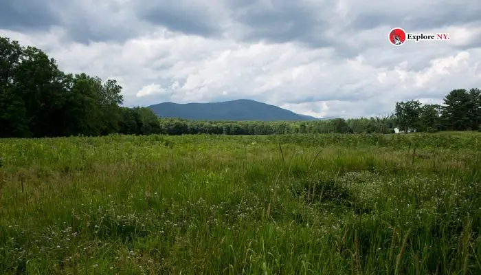 Enjoying Nature at Thorn Preserve