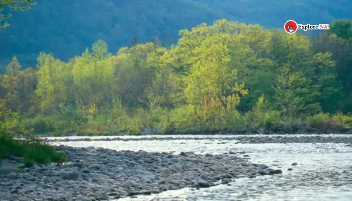 Exploring Esopus Creek