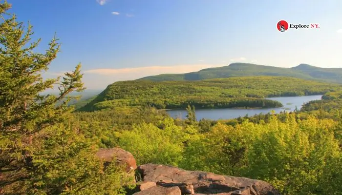 Exploring the Catskills Forest Preserves