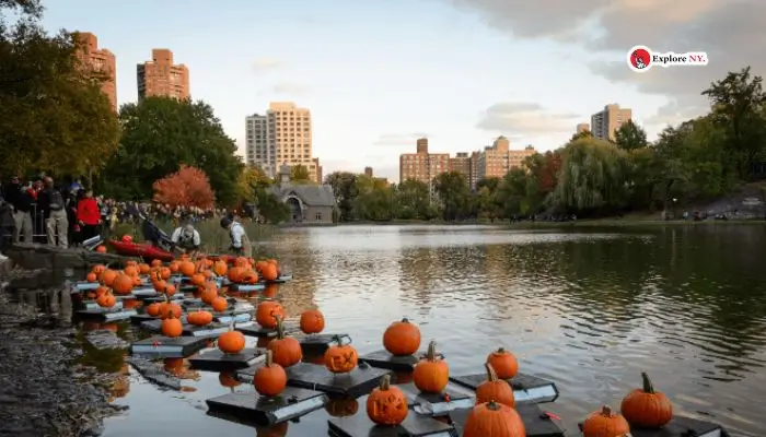 Join a Pumpkin Flotilla in Fall