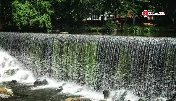 Relaxing at Woodstock Waterfall Park