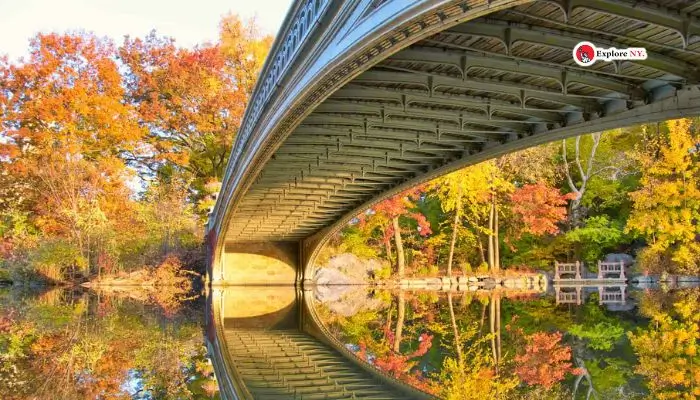 The Central Park Is the Top Tourist Spot in NYC