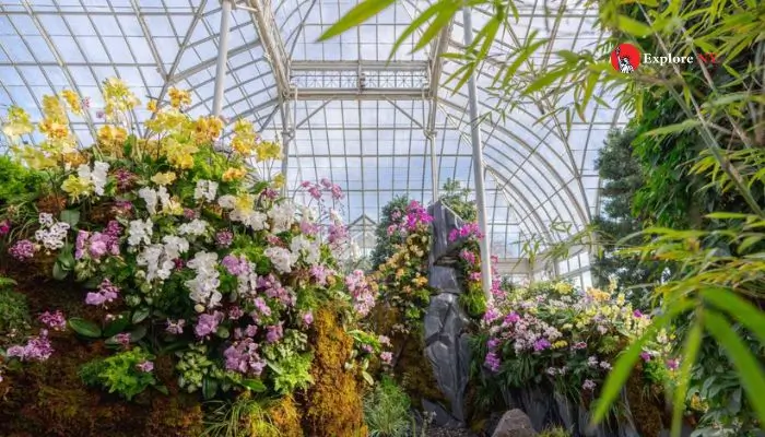 The Orchid Show at the New York Botanical Garden