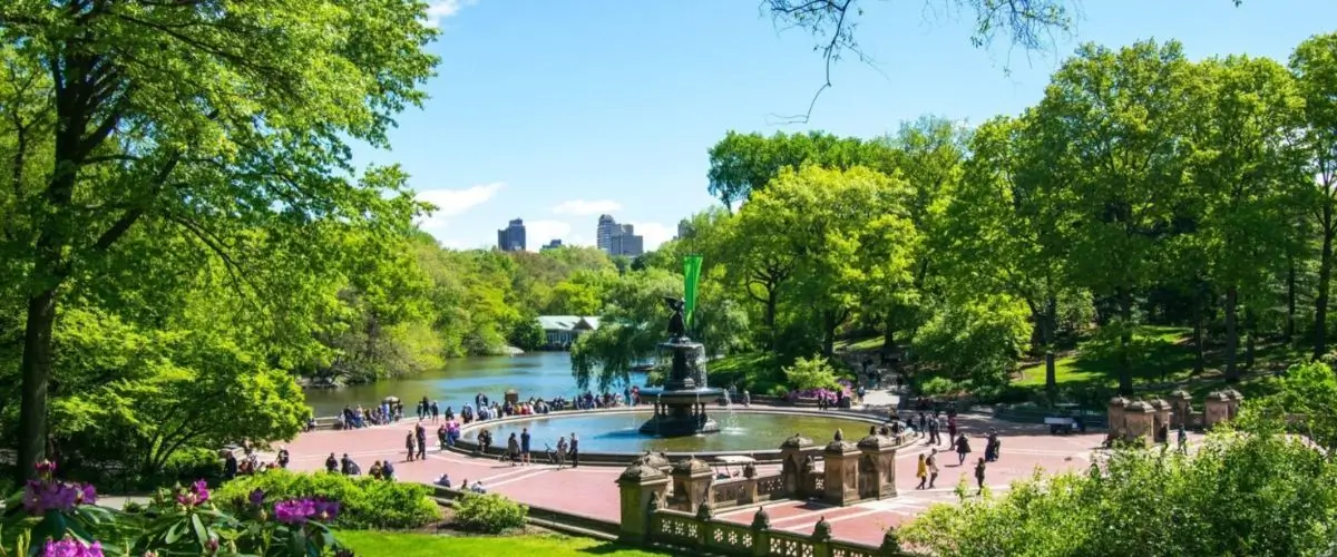 Things to Do in Central Park