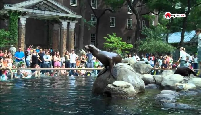 Visit the Central Park Zoo All Year