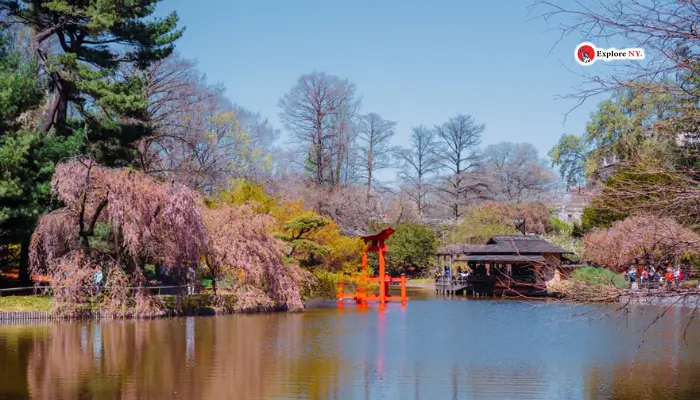 Brooklyn Botanic Garden