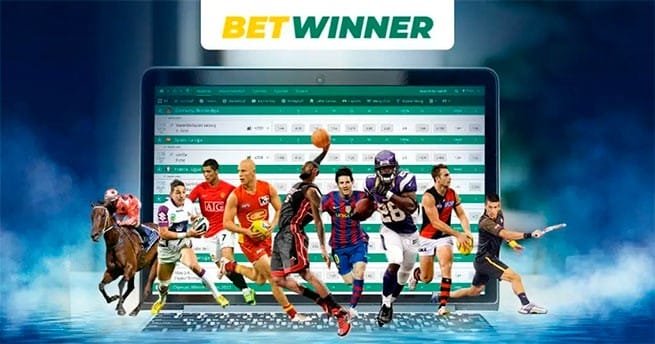 Experience the Thrill of BetWinner Sportsbook